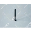 OE Germany | Auslassventil | 01 0520 500009