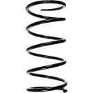Spidan | Fahrwerksfeder | 55783