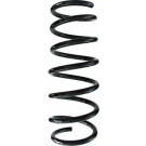 Spidan | Fahrwerksfeder | 87519