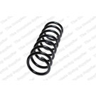 4295850 Fahrwerksfeder