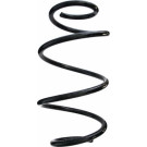 Spidan | Fahrwerksfeder | 87075