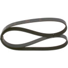 1 987 947 885 Keilrippenriemen