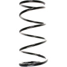 Spidan | Fahrwerksfeder | 55877