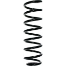 Spidan | Fahrwerksfeder | 55735