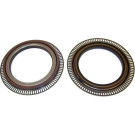 Elring | Dichtring | 009.310