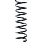 Spidan | Fahrwerksfeder | 55355