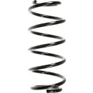 Spidan | Fahrwerksfeder | 55980