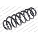 4295093 Fahrwerksfeder