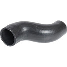 2420697 Kühlerschlauch