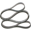 1 987 945 982 Keilrippenriemen