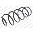 4066823 Fahrwerksfeder