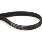 ContiTech | Keilrippenriemen | 6PK2000