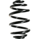 Spidan | Fahrwerksfeder | 49797