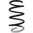 Spidan | Fahrwerksfeder | 87726