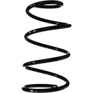 Spidan | Fahrwerksfeder | 55617
