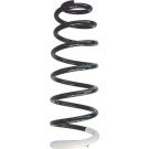 Spidan | Fahrwerksfeder | 86716