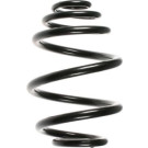 Spidan | Fahrwerksfeder | 55957
