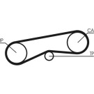 CT780 Zahnriemen CT780 Zahnriemen