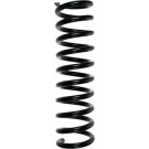 Spidan | Fahrwerksfeder | 49736
