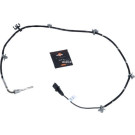 707062 Sensor, Abgastemperatur EASY FIT