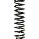 Spidan | Fahrwerksfeder | 49696