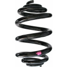 Spidan | Fahrwerksfeder | 85522