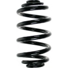 Spidan | Fahrwerksfeder | 56962