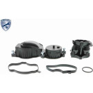 Vaico | Ventil, Kurbelgehäuseentlüftung | V20-0957