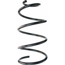 Spidan | Fahrwerksfeder | 49187