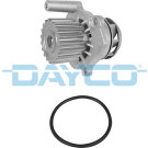 Dayco | Wasserpumpe | DP163
