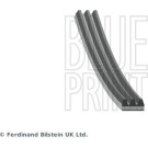 Blue Print | Keilrippenriemen | AD03R872