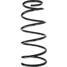 Spidan | Fahrwerksfeder | 87805
