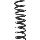 Spidan 2 x SPIDAN Fahrwerksfeder 85948