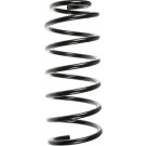 Spidan | Fahrwerksfeder | 49148