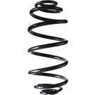 Spidan | Fahrwerksfeder | 55991