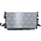 NRF | Kühler, Motorkühlung | 550063