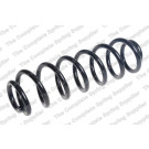 4295136 Fahrwerksfeder