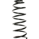 Spidan | Fahrwerksfeder | 49130