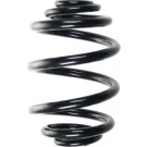 Spidan | Fahrwerksfeder | 56921
