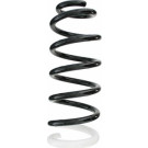 Spidan | Fahrwerksfeder | 87116