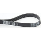 ContiTech | Keilrippenriemen | 6PK1560 ContiTech | Keilrippenriemen | 6PK1560