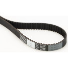 CT1049 Zahnriemen CT1049 Zahnriemen