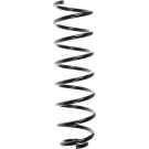 Spidan | Fahrwerksfeder | 48482