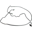 2150081 Kraftstoffleitung