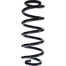 Spidan | Fahrwerksfeder | 87497