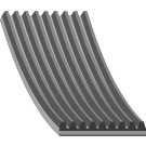 FEBI BILSTEIN 29096 Keilrippenriemen