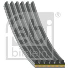 192784 Keilrippenriemen