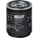Hengst Filter | Kraftstofffilter | H7060WK10
