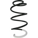 Spidan | Fahrwerksfeder | 87249