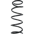 Spidan | Fahrwerksfeder | 85613